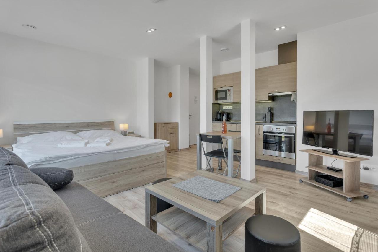 Family Apartments Klinovec Лоучна-под-Кліновцем Екстер'єр фото